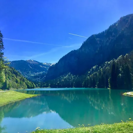 Apartament Romand Proche Morzine